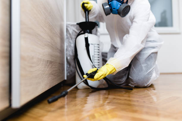 Pest Prevention Services in Oak Brook, IL