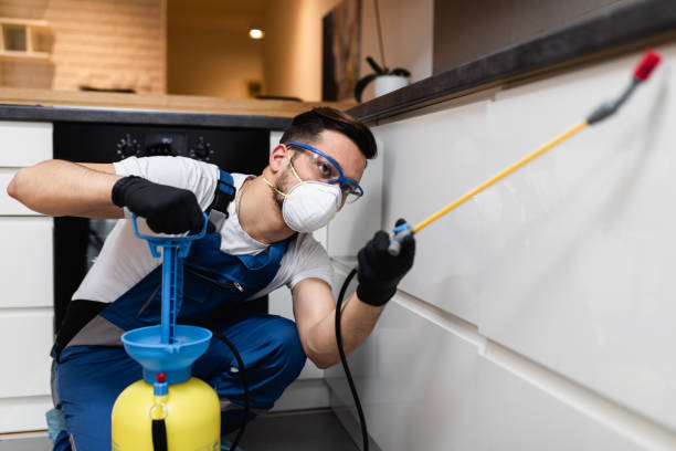 Best Best Pest Control Companies  in Oak Brook, IL