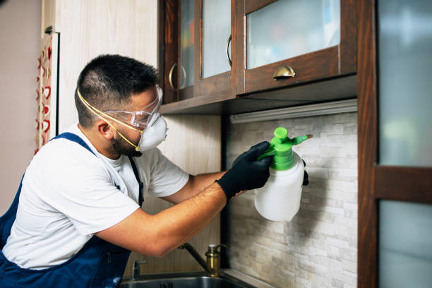 Best Pest Inspection Near Me  in Oak Brook, IL