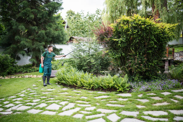 Best Residential Pest Control  in Oak Brook, IL