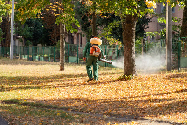 Best Best Pest Control Companies  in Oak Brook, IL