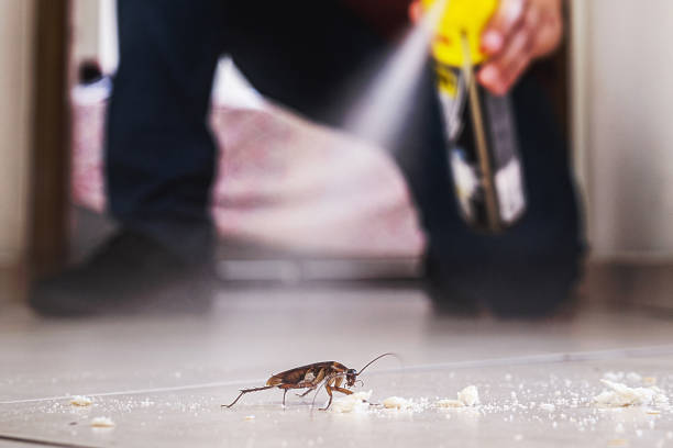 Flea Control Services in Oak Brook, IL