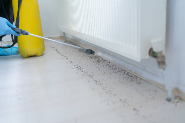 Best Residential Pest Control  in Oak Brook, IL