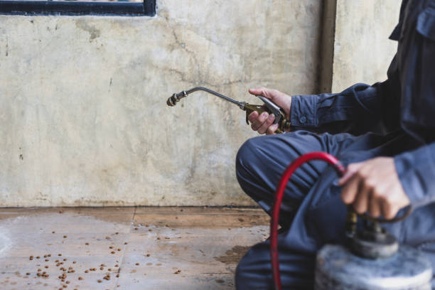Best Wasp Removal Services  in Oak Brook, IL