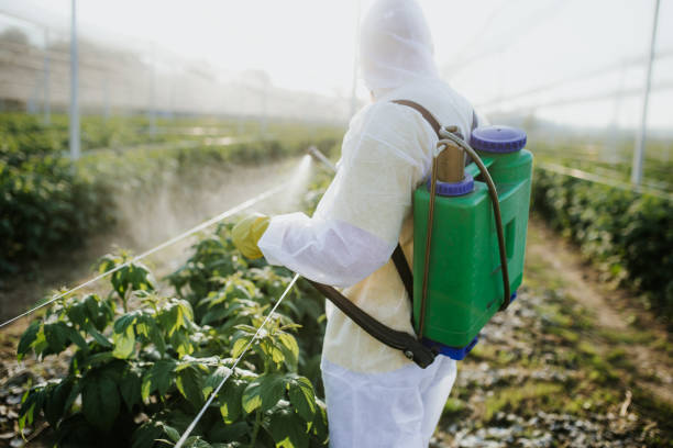Best Commercial Pest Control Services  in Oak Brook, IL